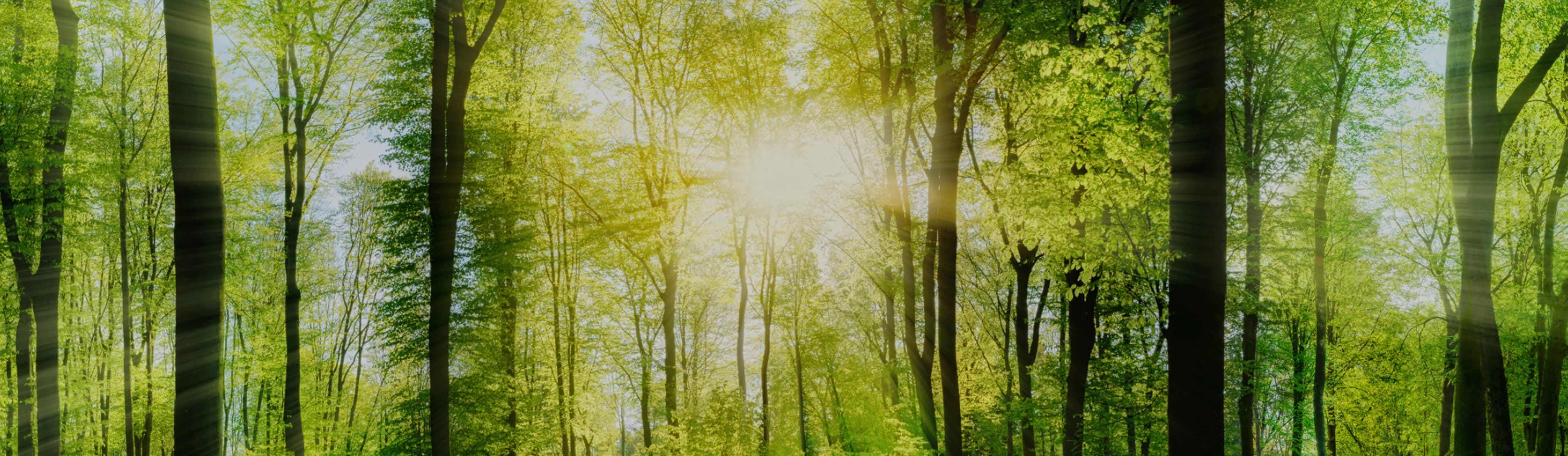 Banner page